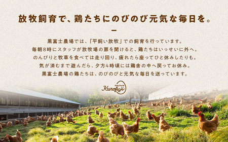 有機JAS認証 有機バウム＆有機ショコラ 2個セット  無添加 有機JAS オーガニックバームクーヘン B-71