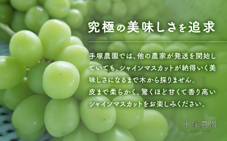 2025年分発送】 朝採れ シャインマスカット 1房 約800g 先行予約 先行 予約 山梨県産 産地直送 フルーツ 果物 くだもの ぶどう ブドウ  葡萄 シャイン シャインマスカット 新鮮 人気 おすすめ 国産 贈答 ギフト お取り寄せ 山梨 甲斐市 AV-1 | 山梨県甲斐市 | ふるさと納税  ...