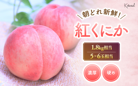 【2023年/令和5年発送分☆先行予約☆】朝どれ!桃 紅くにか 1.8kg相当 5-6玉※来年の先行予約です※