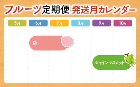 【2025年発送】プレミアムフルーツ定期便 [山梨 シャインマスカット 桃 定期便] 先行予約 先行 予約 山梨県産 産地直送 フルーツ 果物 くだもの ぶどう ブドウ 葡萄 シャイン シャインマスカット 新鮮 人気 おすすめ 国産 贈答 ギフト お取り寄せ 山梨 甲斐市 AD-219