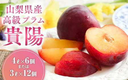 【先行予約2025年/令和7年発送分】貴陽 すもも 4L×6個または3L×12個 山梨県産 スモモ もも モモ 高級 フルーツ くだもの 果物 おすすめ 人気 山梨県 甲斐市 AV-21