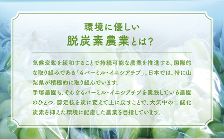 【2025年分発送】 ご家庭用 訳あり シャインマスカット 2㎏ 先行予約 先行 予約 訳あり ワケアリ わけあり 山梨県産 産地直送 フルーツ 果物 くだもの ぶどう ブドウ 葡萄 シャイン シャインマスカット 新鮮 人気 おすすめ 国産 贈答 ギフト お取り寄せ 甘い 皮ごと 種なし 山梨 甲斐市 AV-22