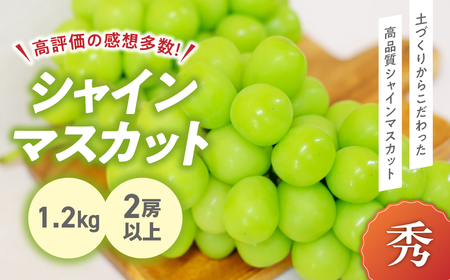 【?先行予約?2024年/令和6年発送分】　山梨県産朝採り新鮮シャインマスカット 1.2kg