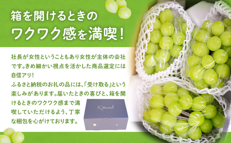 【☆先行予約☆2024年/令和6年発送分】シャインマスカット ２房　１.2㎏相当　