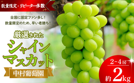 シャインマスカット 2kg 先行予約 山梨シャインマスカット