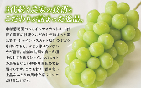 シャインマスカット 2kg 先行予約 山梨シャインマスカット