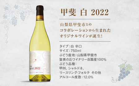 サントリー登美の丘ワイナリー　甲斐オリジナルワインセット　フロムファーム　甲斐　赤　2020　＆　甲斐　白　2022 750ml×2 ワイン 赤ワイン 白ワイン 飲み比べ セット オリジナルワイン 甲斐市 辛口 山梨 H-78