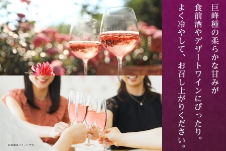 巨峰スパークリング 720ml モンデ酒造 177-4-005