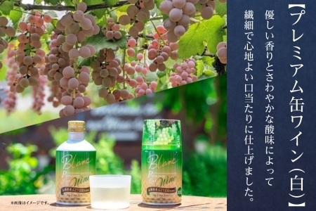 プレミアム缶ワイン 赤 白 300ml 24本入 飲み比べ モンデ酒造 177-4-011