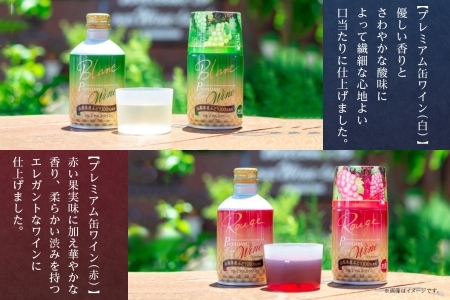 プレミアム缶ワイン 赤 白 ロゼスパークリング  12本入 ３種飲み比べ モンデ酒造 177-4-022