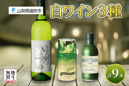 白ワイン 瓶 缶 飲み比べ 瓶1本+缶2種8本 モンデ酒造 177-4-046