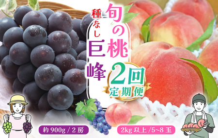 ＜25年発送先行予約＞【山梨県産 旬の果物 定期便】旬の桃 種無し巨峰 2回送り 180-009