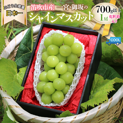 【2026年発送★先行予約】山梨県産 大房 シャインマスカット1房（700g以上） 180-001