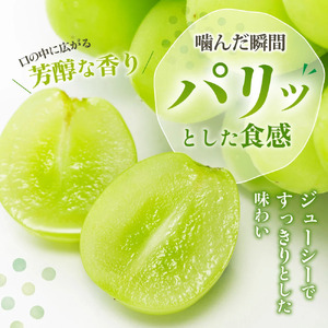 【2026年発送★先行予約】山梨県産 シャインマスカット1kg以上 2房 180-002