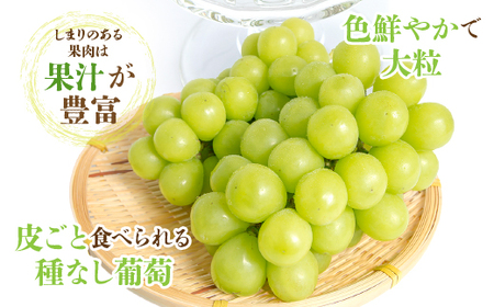 【2026年発送★先行予約】山梨県産 シャインマスカット2.5kg以上（4～6房）大容量 180-003