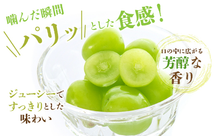 【2026年発送★先行予約】山梨県産 シャインマスカット2.5kg以上（4～6房）大容量 180-003