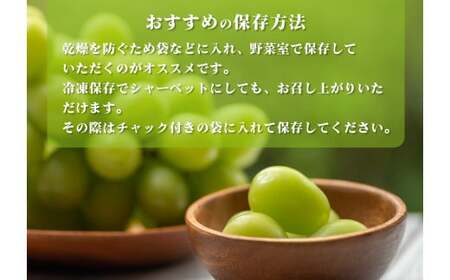 【2026年発送★先行予約】山梨県産 シャインマスカット2.5kg以上（4～6房）大容量 180-003