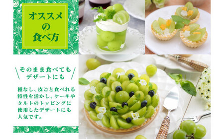 【2026年発送★先行予約】山梨県産 シャインマスカット2.5kg以上（4～6房）大容量 180-003