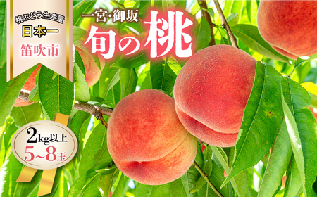 ＜25年発送先行予約＞ 山梨県産 旬の桃 2kg以上(5～8玉)  180-004