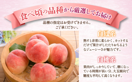 ＜25年発送先行予約＞ 山梨県産 旬の桃 2kg以上(5～8玉)  180-004