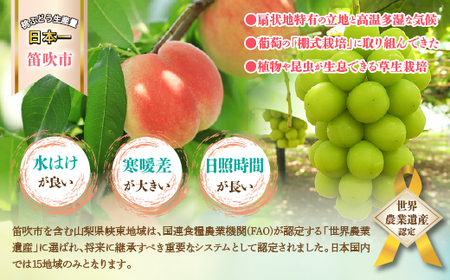 ＜25年発送先行予約＞ 山梨県産 旬の桃 2kg以上(5～8玉)  180-004