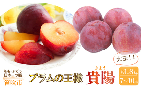 【2026年発送★先行予約】笛吹市産　貴陽　約1.8kg　（大玉7～10玉） 205-008-26y