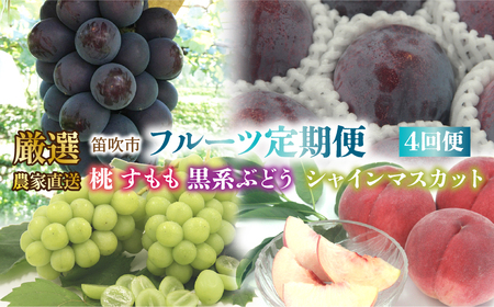 【2026年発送★先行予約】笛吹市産　厳選!農家直送「フルーツ定期便4回便」 205-012-26y