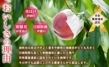 【2026年発送★先行予約】笛吹市産　厳選!農家直送「フルーツ定期便4回便」 205-012-26y