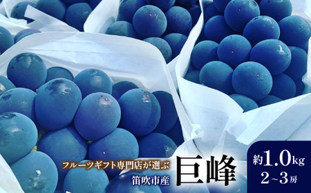 【2026年発送★先行予約】山梨県笛吹市産　旬の採れたて巨峰　約1kg　2～3房 105-015-26y