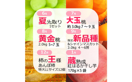 【定期便:全6回】極み四重奏 季節ごとの最高品を産地直送 088-017