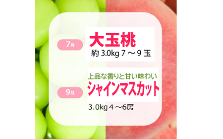 【2026年発送★先行予約】【定期便：全2回】極み二重奏 季節ごとの最高品を産地直送 088-019-26y