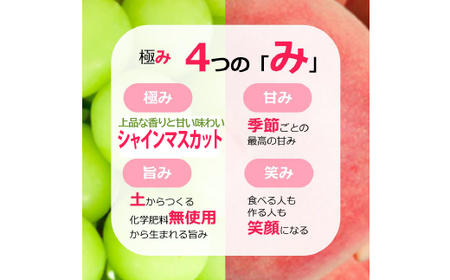 【2026年発送★先行予約】【定期便：全2回】極み二重奏 季節ごとの最高品を産地直送 088-019-26y