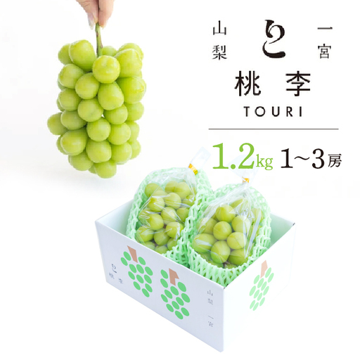 【2026年発送★先行予約】シャインマスカット約1.2kg（1~3房） 122-014-26y ※北海道・沖縄・離島は配送不可