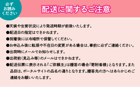 ＜25年発送先行予約＞山梨県笛吹市産　シャインマスカット訳有粒　1kg以上 105-018　★房から外した粒シャインマスカットです