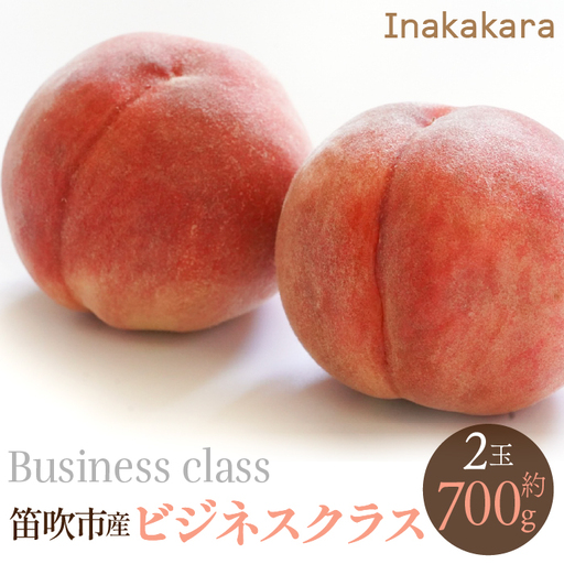 【2026年発送★先行予約】【笛吹市産】Inakakara　一宮町の桃 ビジネスクラス 2玉(1玉約350g) 192-018