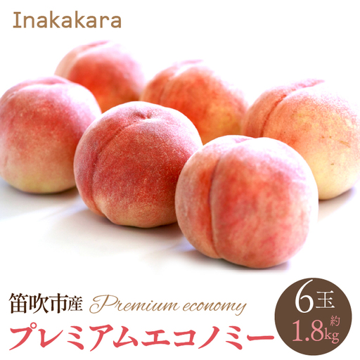 【2026年発送★先行予約】【笛吹市産】Inakakara　一宮町の桃 プレミアムエコノミー 6玉(1玉約300g) 192-023