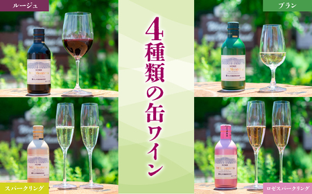 【モンデ酒造ふるさと納税】プティモンテリアシリーズ各種3本セット（やや辛口/白・やや重口/赤・やや辛口/白スパークリングワイン・やや辛口/ロゼスパークリングワイン 全12本）018-041