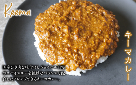 ジョイアル カレー5種5箱（ビーフ・ポーク・チキン・キーマ・スパイスルー）ギフトセット 118-007