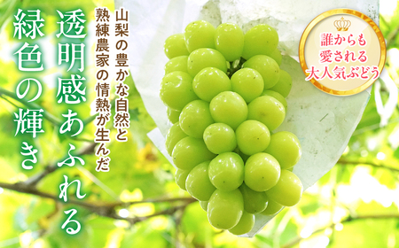 【2026年発送★先行予約】シャインマスカット 2～2.2kg 222-008-2-26y | シャインマスカット 発送 笛吹市 山梨県 フルーツ 果物 ぶどう 葡萄 大粒 おすすめ 贈答 ギフト 産地 山梨 笛吹 国産 人気 先行 予約