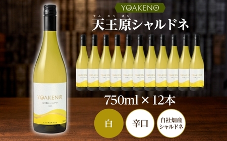 YOAKENO 天王原シャルドネ 750ml×12本 177-4-081