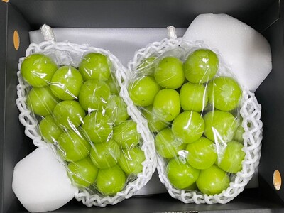 【2026年発送★先行予約】笛吹市産　大粒ｼｬｲﾝﾏｽｶｯﾄ　1.2㎏(2～3房) 227-002-26y