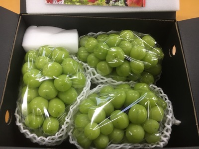 【2026年発送★先行予約】笛吹市産　大粒ｼｬｲﾝﾏｽｶｯﾄ　2.0㎏(3～4房) 227-004-26y