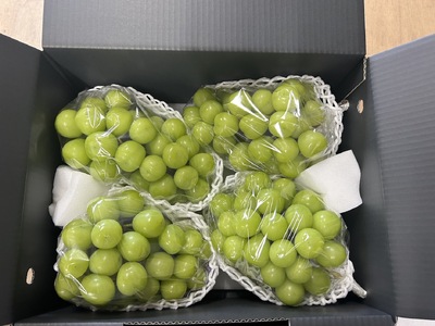 【2026年発送★先行予約】笛吹市産　大粒ｼｬｲﾝﾏｽｶｯﾄ　3.0㎏(4～6房) 227-005-26y