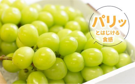 【2026年発送★先行予約】笛吹市産　シャインマスカット粒 106-020-26y