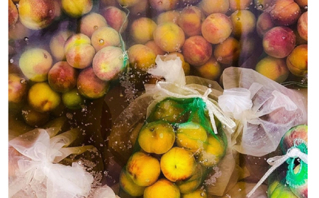 桃のクラフトジン「MoMO GIN Wood」1本 230-001