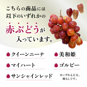 【2026年発送★先行予約】シャインマスカット×赤系ぶどう 1kg～1.2kg154-046-26y