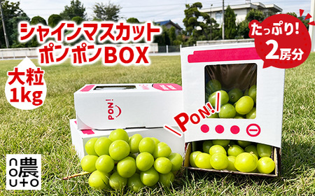 【2026年発送★先行予約】シャインマスカット 山梨 「ポンポンBox 大粒2房分」 種なし ぶどう ギフト 贈答 敬老の日 山梨県154-050-26y 山梨産 笛吹市 フルーツ シャイン マスカット 社員マスカット キッズ おもちゃ 楽天 人気 ランキング コスパ 数量限定