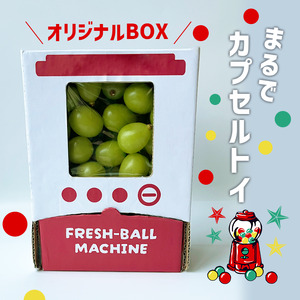 【2026年発送★先行予約】シャインマスカット 山梨 「ポンポンBox 大粒2房分」 種なし ぶどう ギフト 贈答 敬老の日 山梨県154-050-26y 山梨産 笛吹市 フルーツ シャイン マスカット 社員マスカット キッズ おもちゃ 楽天 人気 ランキング コスパ 数量限定