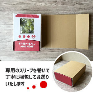 【2026年発送★先行予約】シャインマスカット 山梨 「ポンポンBox 大粒2房分」 種なし ぶどう ギフト 贈答 敬老の日 山梨県154-050-26y 山梨産 笛吹市 フルーツ シャイン マスカット 社員マスカット キッズ おもちゃ 楽天 人気 ランキング コスパ 数量限定