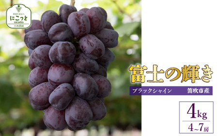 【2026年発送★先行予約】たっぷり4キロ　富士の輝き（4-7房）　 097-015-26y　 | ブラックシャインマスカット 発送 富士の輝き 富士の輝 笛吹市 山梨  フルーツ 果物 ぶどう 葡萄 シャインマスカット おすすめ 贈答 山梨県笛吹市  産地 期間限定 4kg 笛吹  国産 ぶどう 人気 新鮮 種なし | 株式会社にこっと